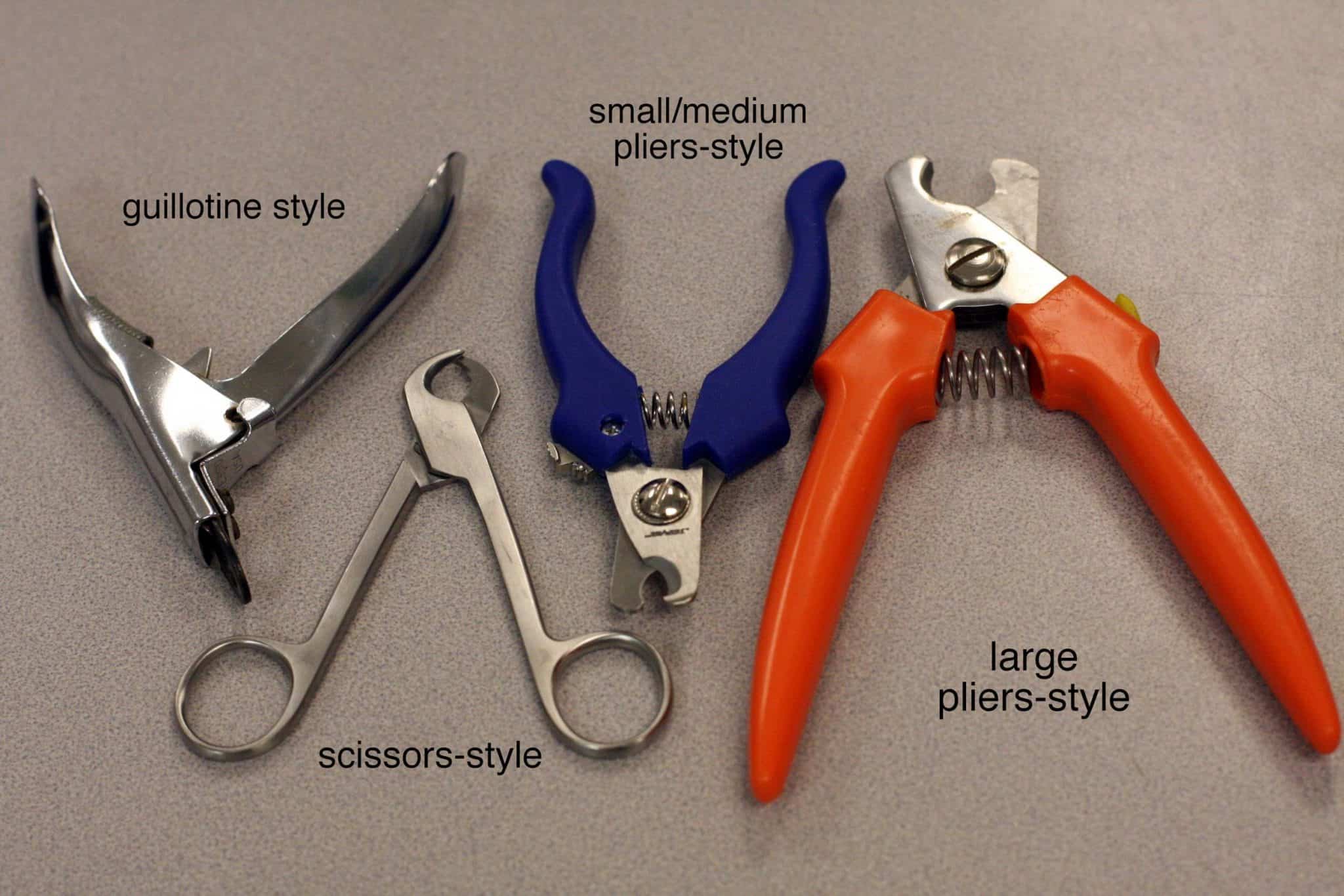 dog nail clippers for small dogs